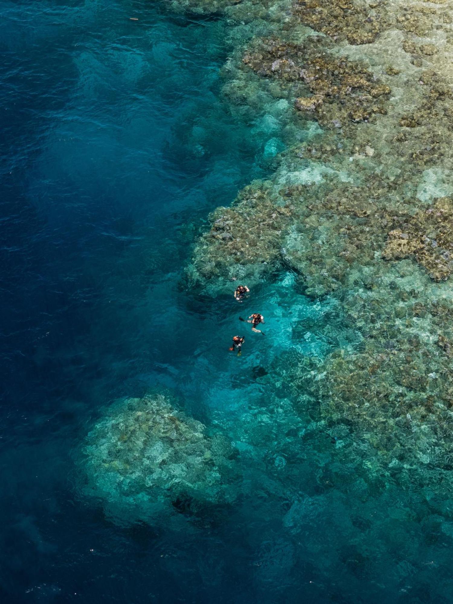 Reconnect - Private Island Resort & Dive Center Togean - Buka Buka Island Ampana Exterior foto