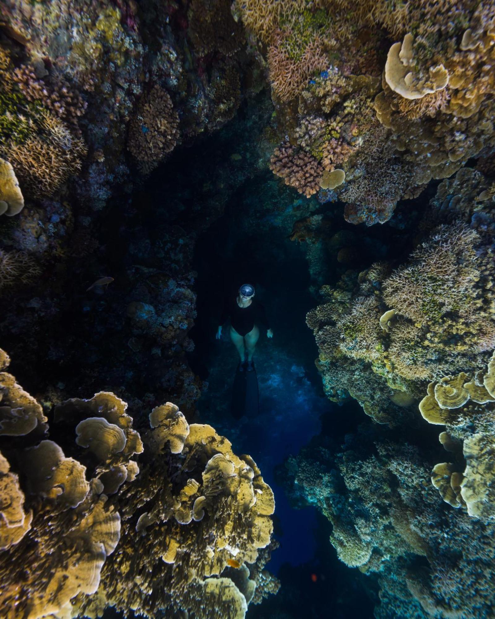 Reconnect - Private Island Resort & Dive Center Togean - Buka Buka Island Ampana Exterior foto