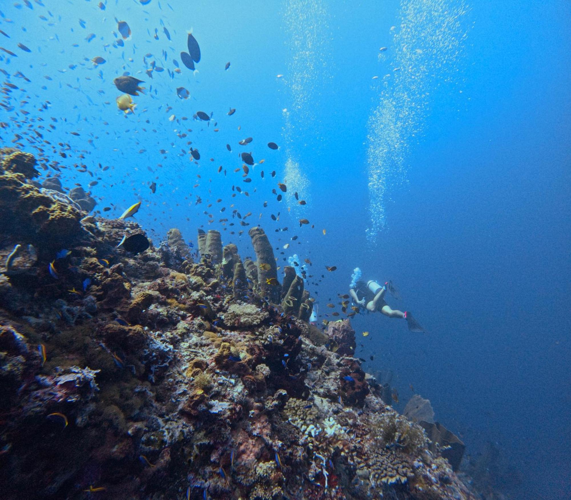 Reconnect - Private Island Resort & Dive Center Togean - Buka Buka Island Ampana Exterior foto